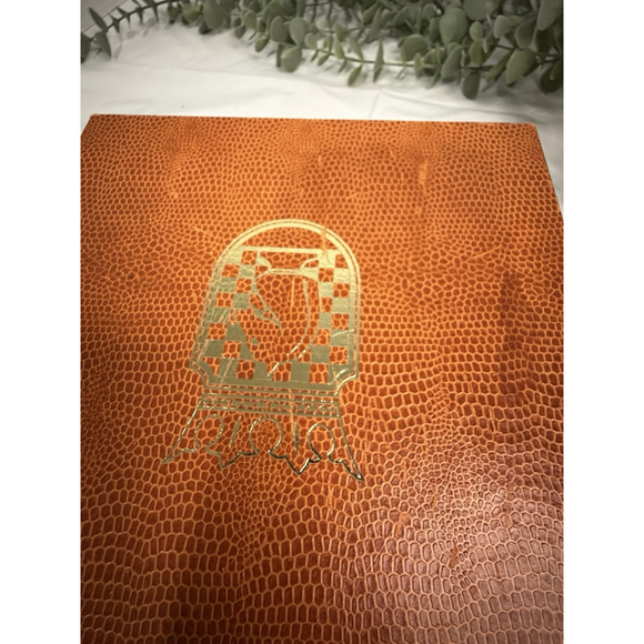 Vintage Schach Plastic Chess Set Medieval Camelot Full Set Germany No Board - Picture 6 of 16